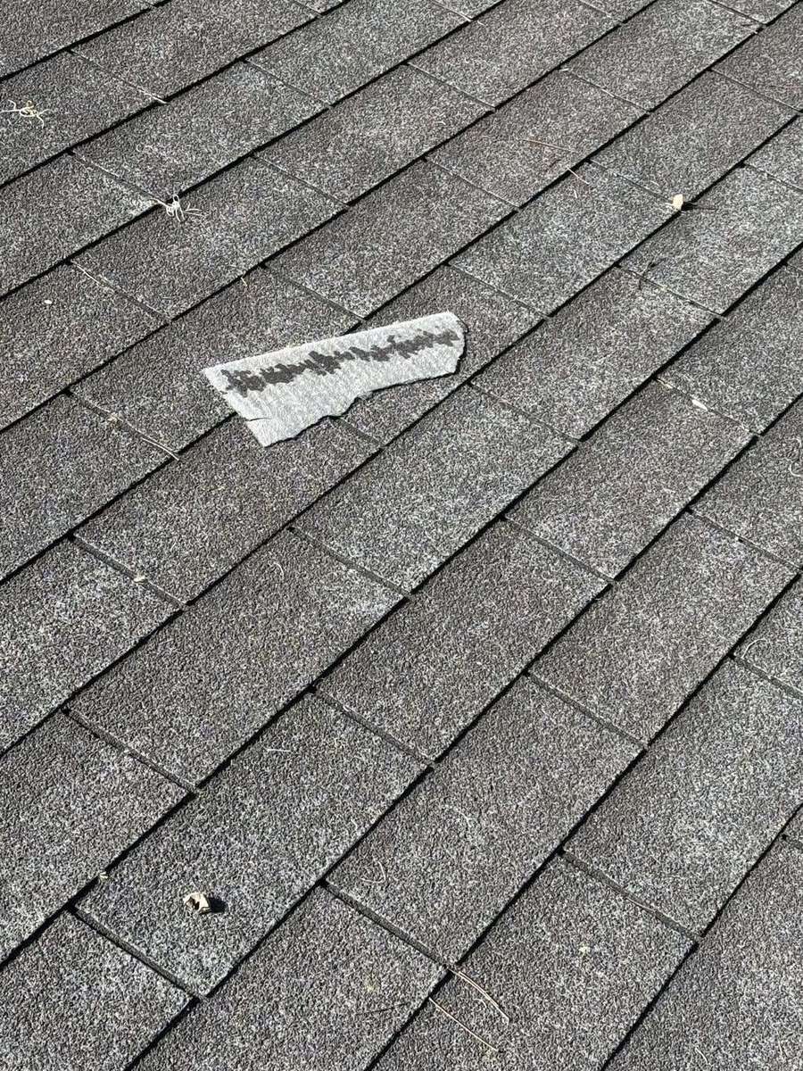 A wind-lifted asphalt shingle tab with the sealant strip exposed